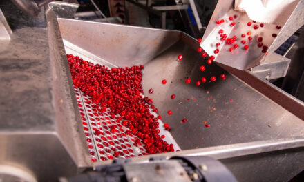 Entenda qual é a função da despolpadeira de frutas industrial