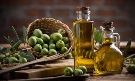 Veja as vantagens e características de um tanque de armazenamento para azeite de oliva