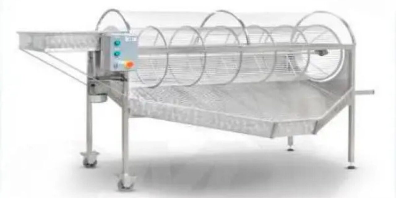 Como a escolha da desengaçadeira e da prensa hidráulica impacta a qualidade do seu vinho