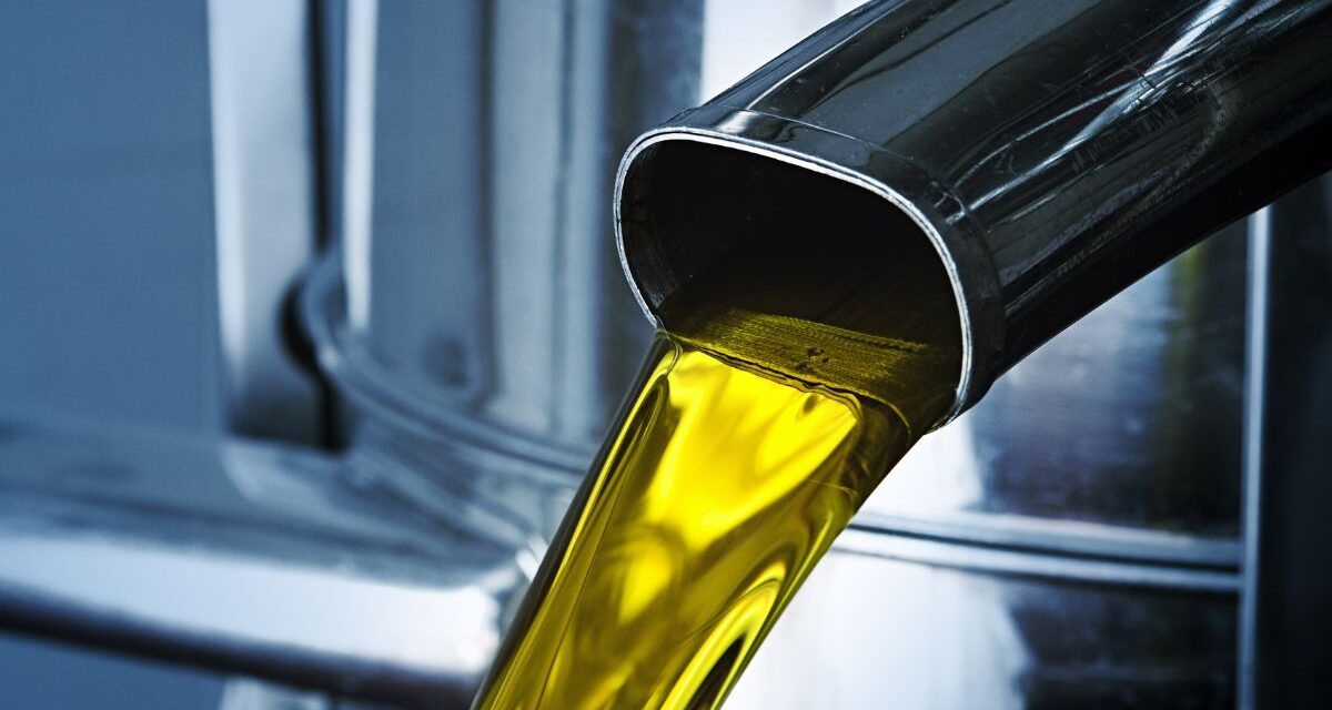 Safra de azeite 2026: o papel estratégico do tanque industrial para os produtores de Minas Gerais e do Sul