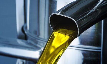 Safra de azeite 2026: o papel estratégico do tanque industrial para os produtores de Minas Gerais e do Sul