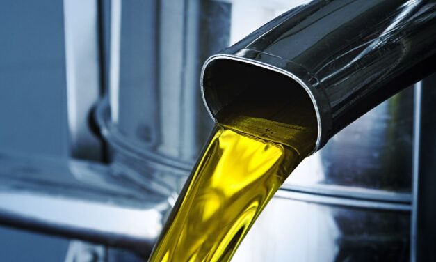 Safra de azeite 2026: o papel estratégico do tanque industrial para os produtores de Minas Gerais e do Sul