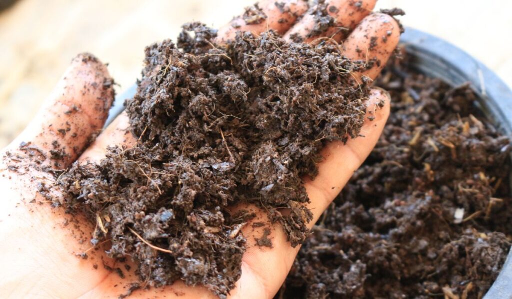 Aproveitamento bioinsumos